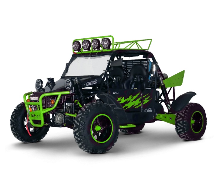 BMS V-TWIN BUGGY 800