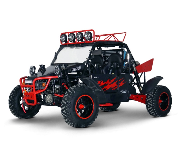 BMS V-TWIN BUGGY 800