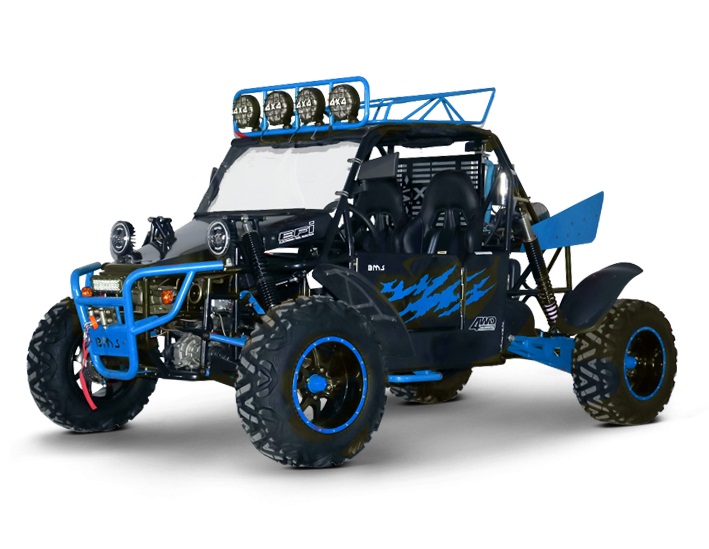 BMS V-TWIN BUGGY 800
