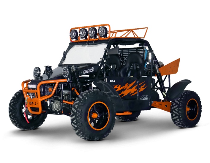 BMS V-TWIN BUGGY 800