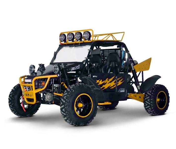 BMS V-TWIN BUGGY 800