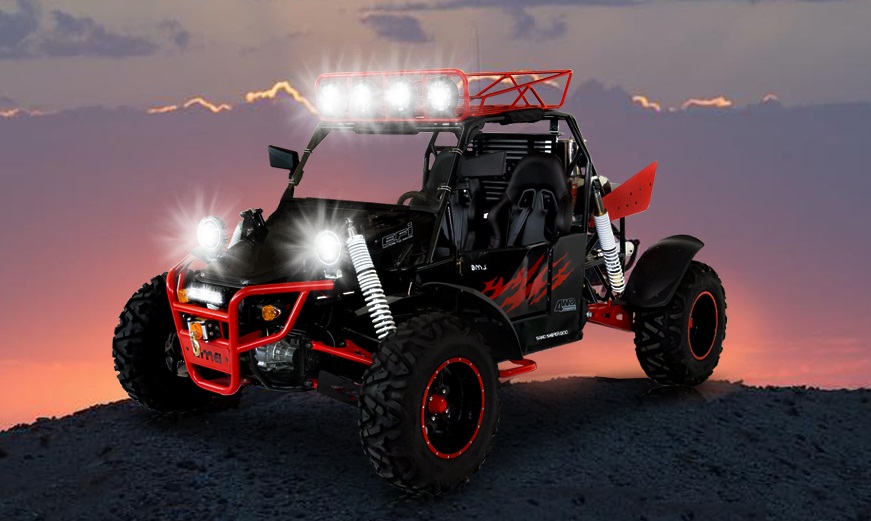 BMS V-TWIN BUGGY 800