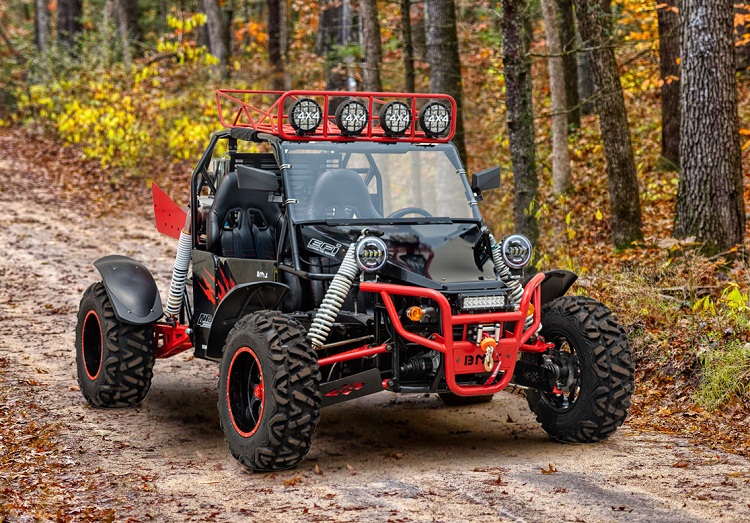 BMS V-TWIN BUGGY 800
