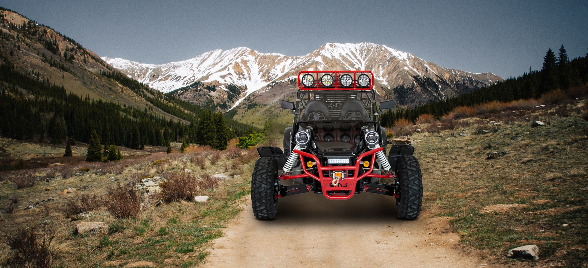 BMS V-TWIN BUGGY 800