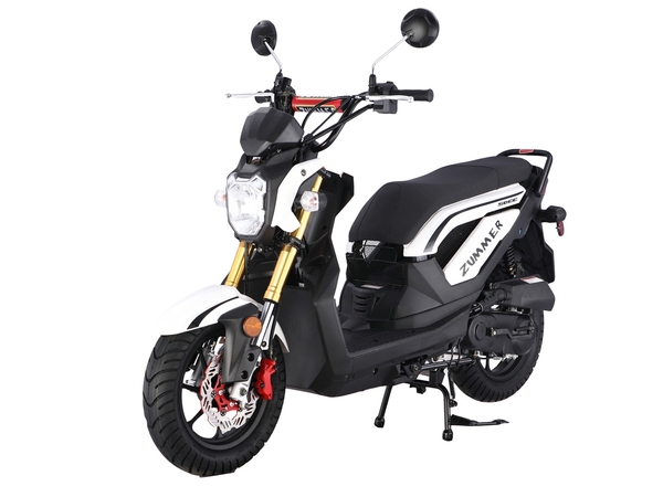 COUGAR_ZOMA_50CC_