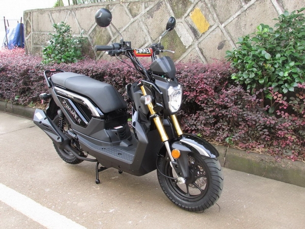 COUGAR_ZOMA_50CC_