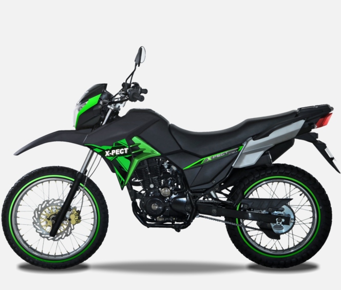 TAOTAO REX 120CC Electric Start ATV