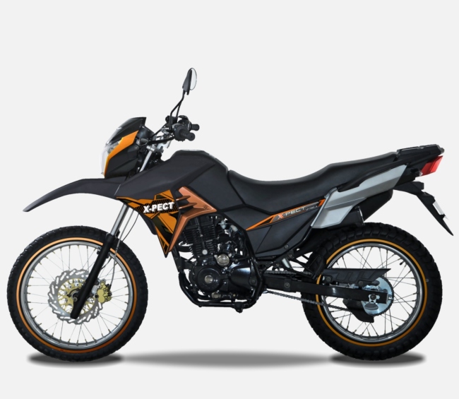 TAOTAO REX 120CC Electric Start ATV