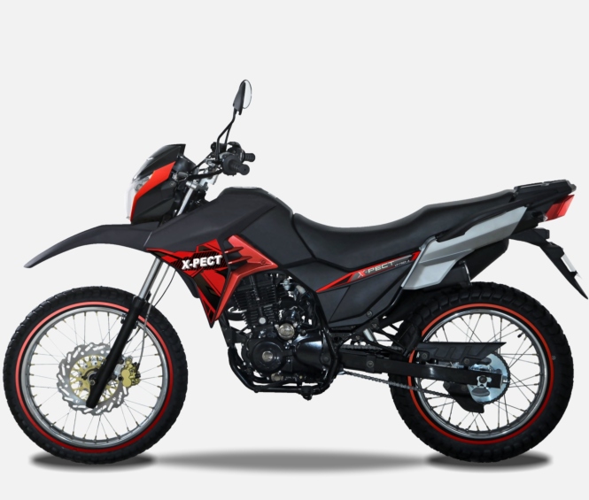 TAOTAO REX 120CC Electric Start ATV