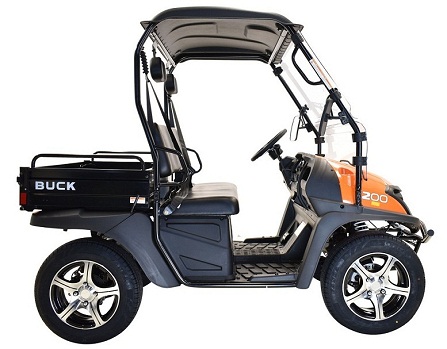 MASSIMO BUCK 200