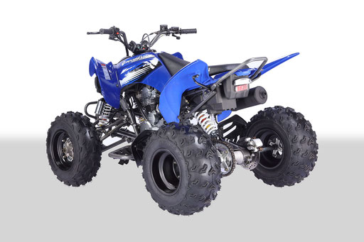 VITACCI-PENTORA-250-ATV
