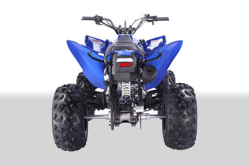 VITACCI-PENTORA-250-ATV