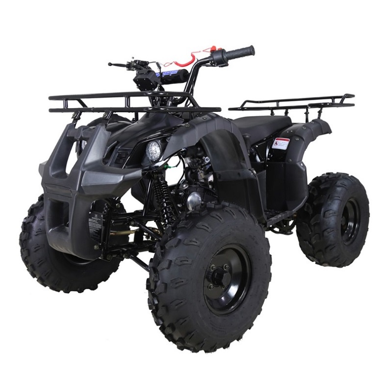 Taotao TFORCE Mid Size ATV 135D | 107CC Air Cooled, 4-Stroke | 1 ...