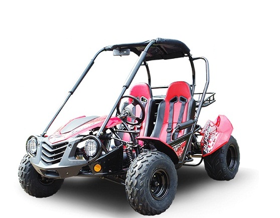 TrailMaster Blazer 150